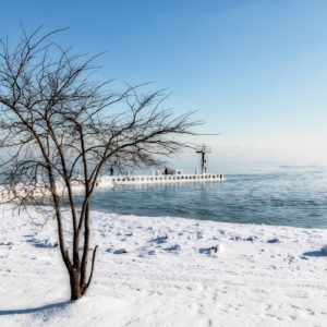 Barbara Pashup - When Snow Falls Nature Listens