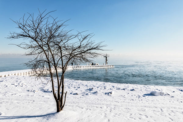Barbara Pashup - When Snow Falls Nature Listens